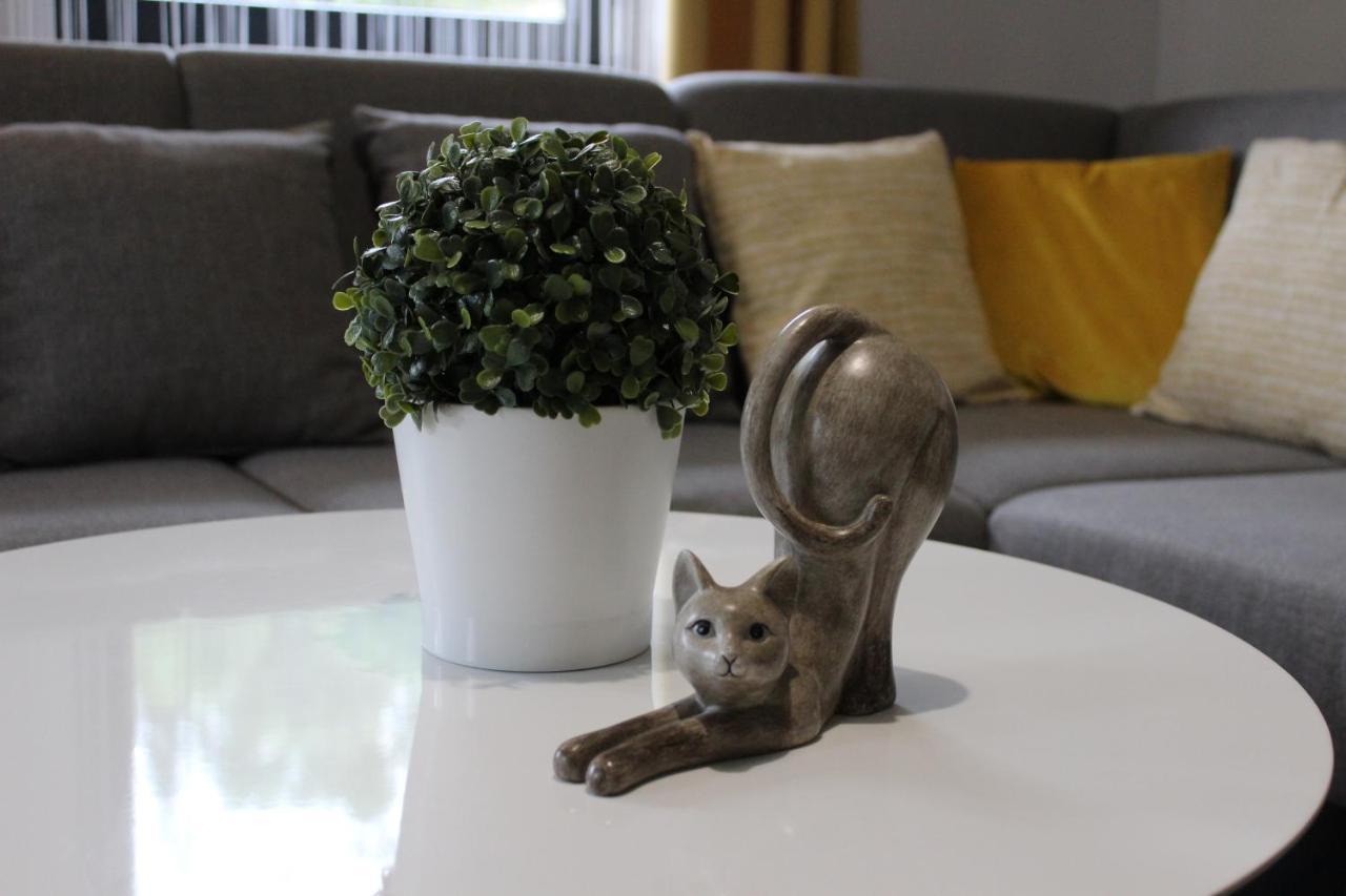 Apartamenty Świstak Bukowina Tatrzanska Bagian luar foto
